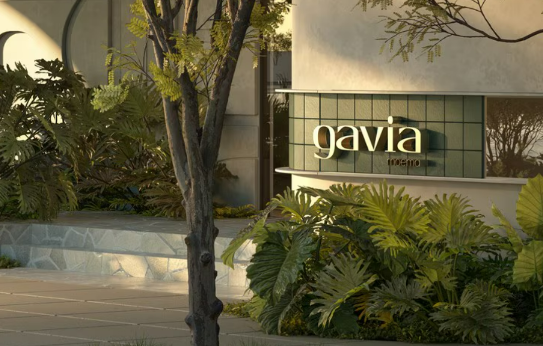 Gavia Moema