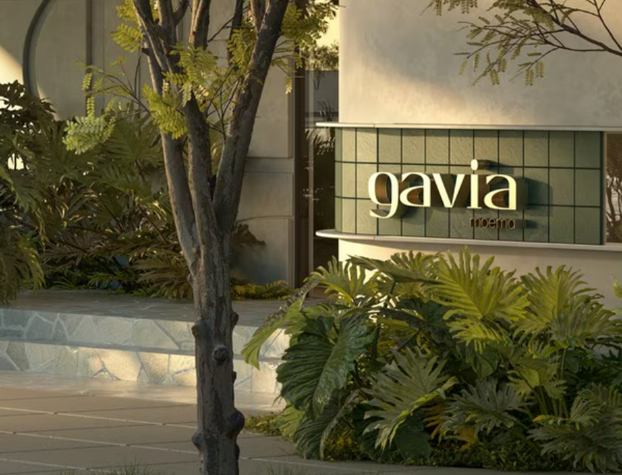 Gavia Moema